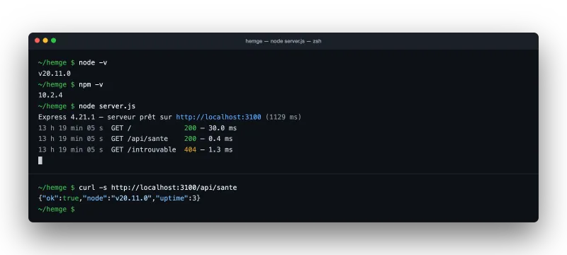 Terminal : versions de Node.js et npm, démarrage d'un serveur Express et réponse JSON d'une route de santé